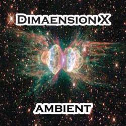 Dimaension X : Ambiant